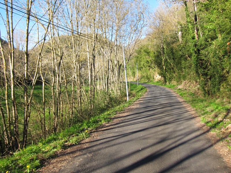 La route le long de la Sorgue