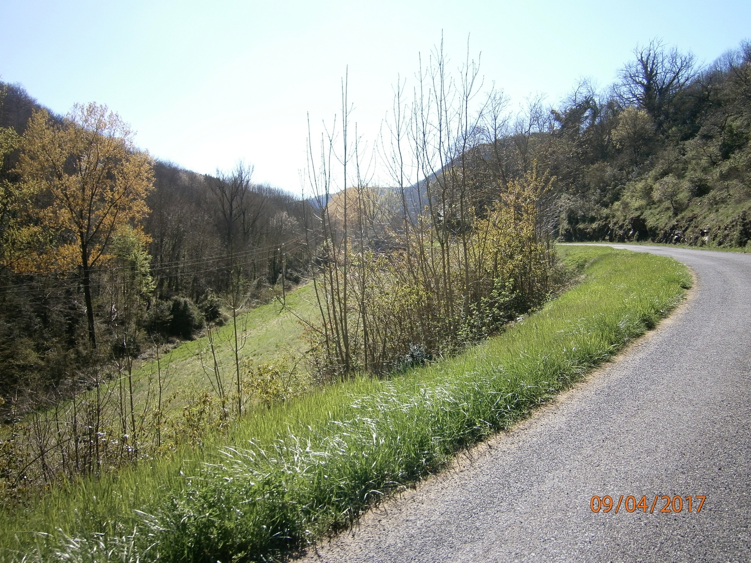 La vallée commence de se resserrer mais ce n'est pas encore une gorge