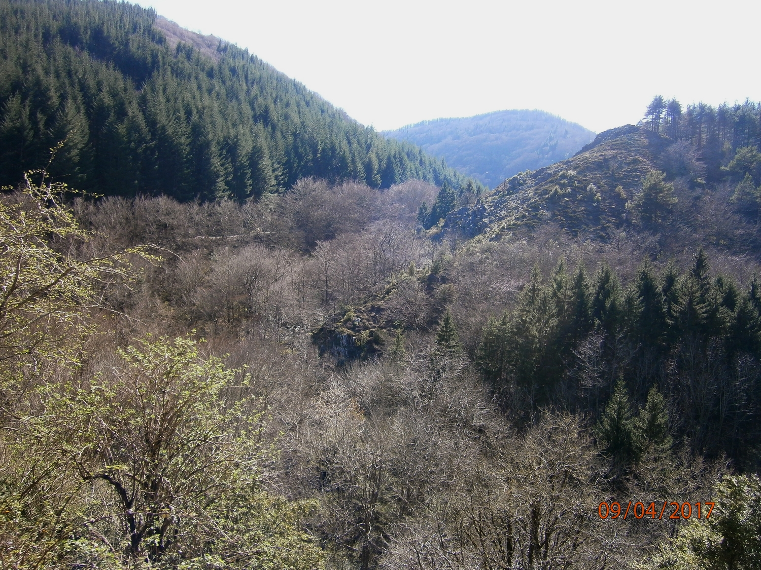 P4090765.JPG