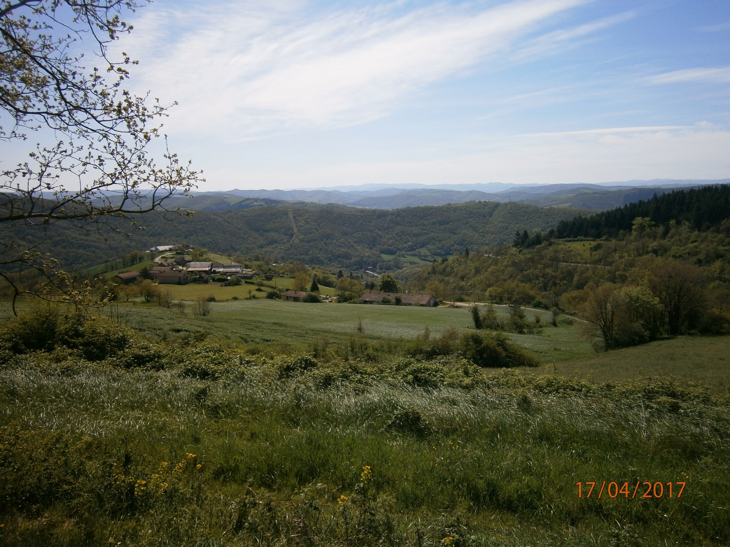 Et c'est déjà la descente vers Broquiès. On aperçois le Tarn au fond de la vallée.