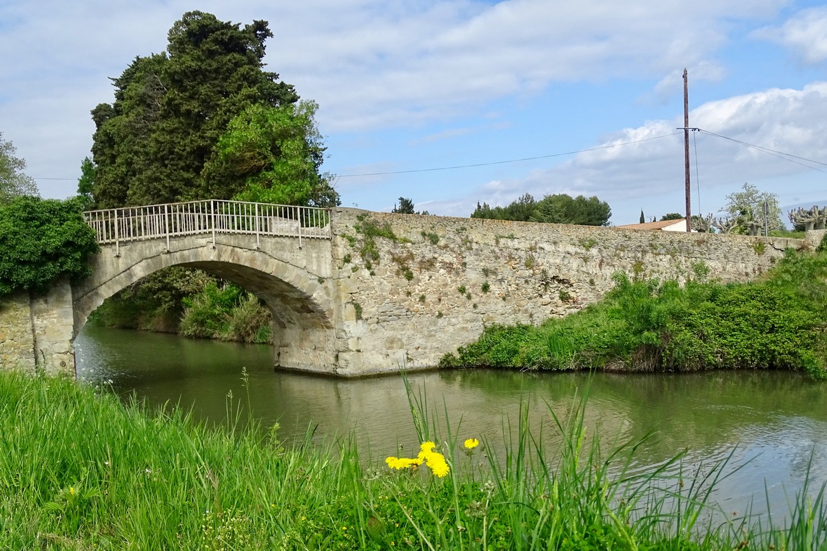 canal_du_midi_deuxieme.JPG