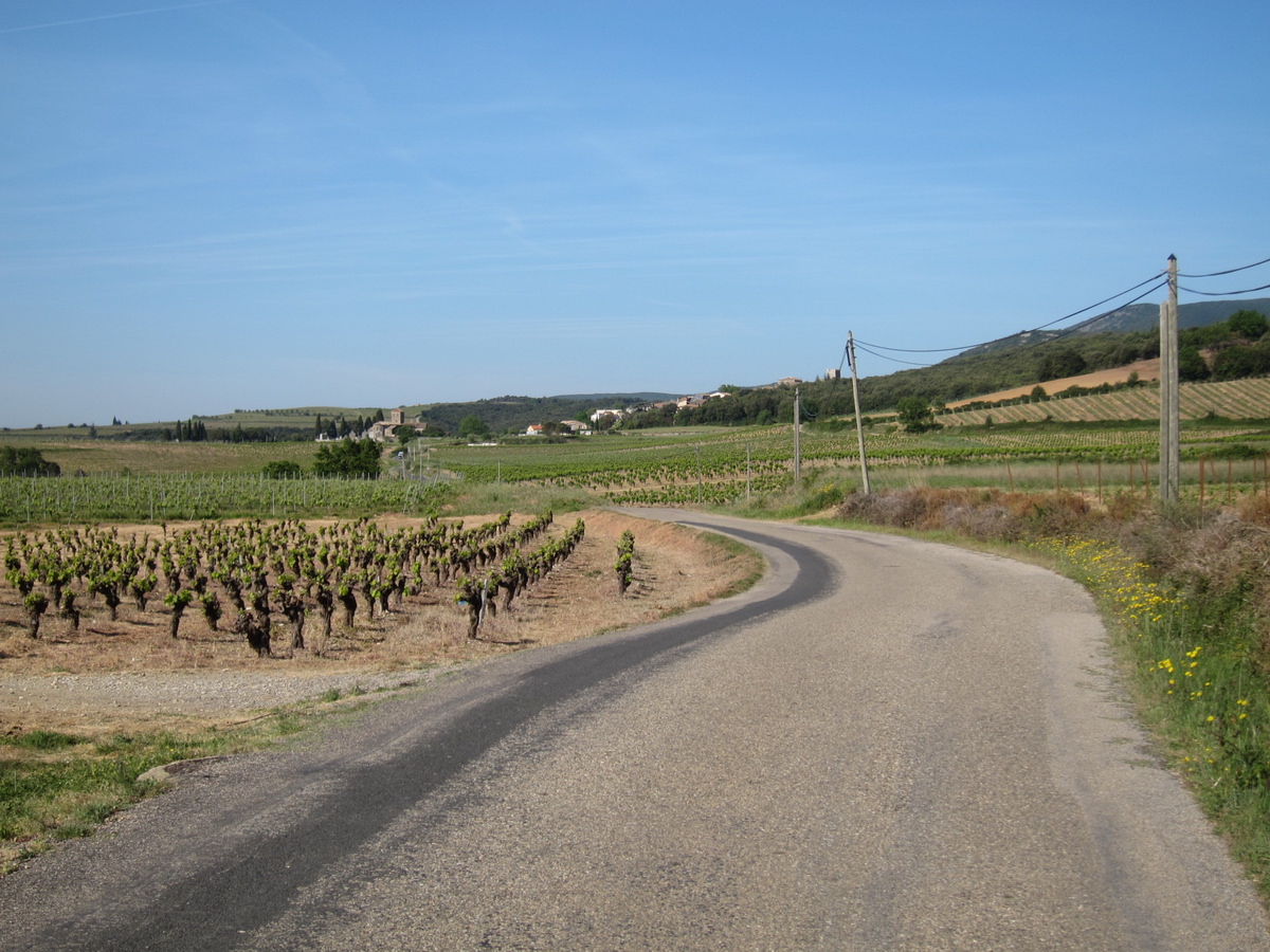 Randonnée très agréable dans le vignoble de Faugères