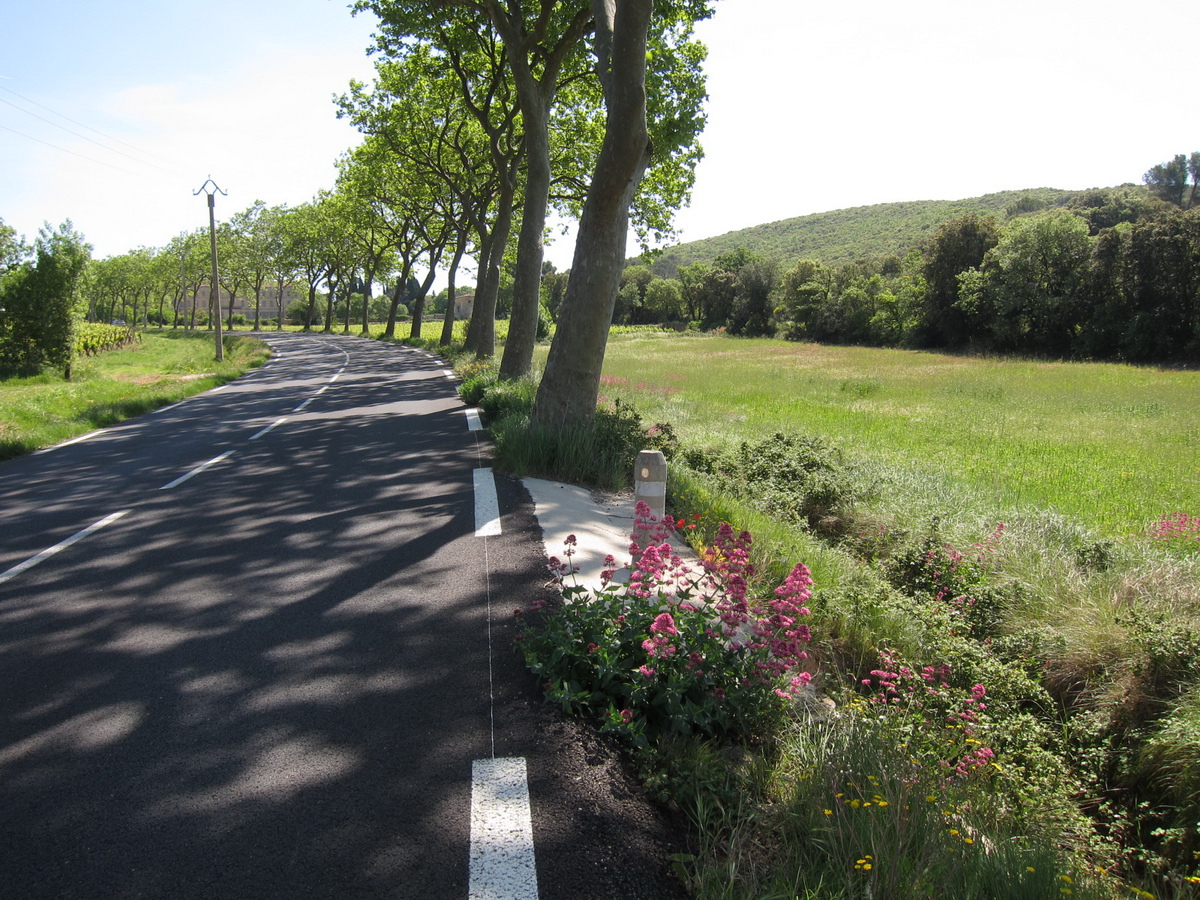 On est quand même dans le Sud et les platanes ne sont pas loin