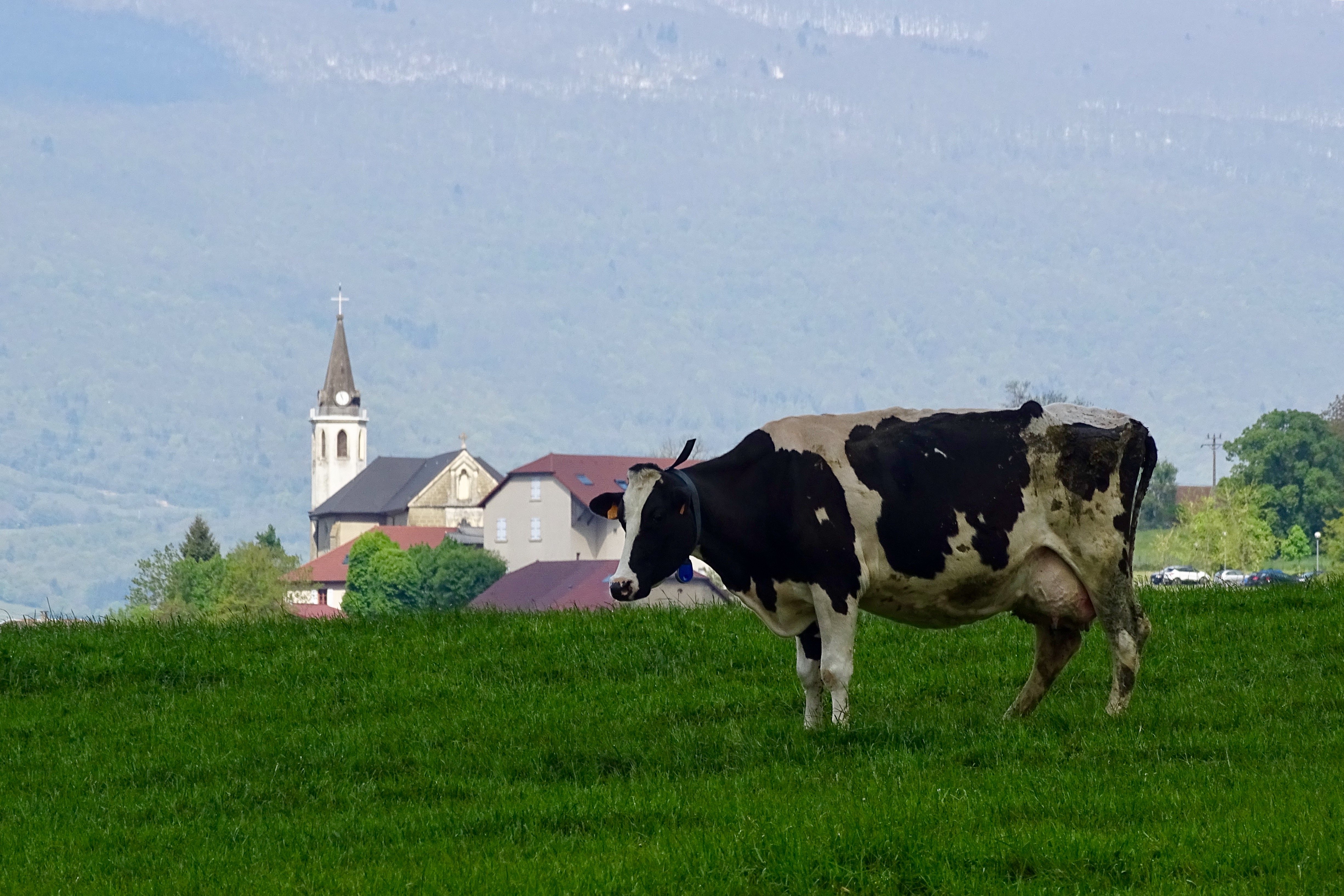 Suisse toujours
