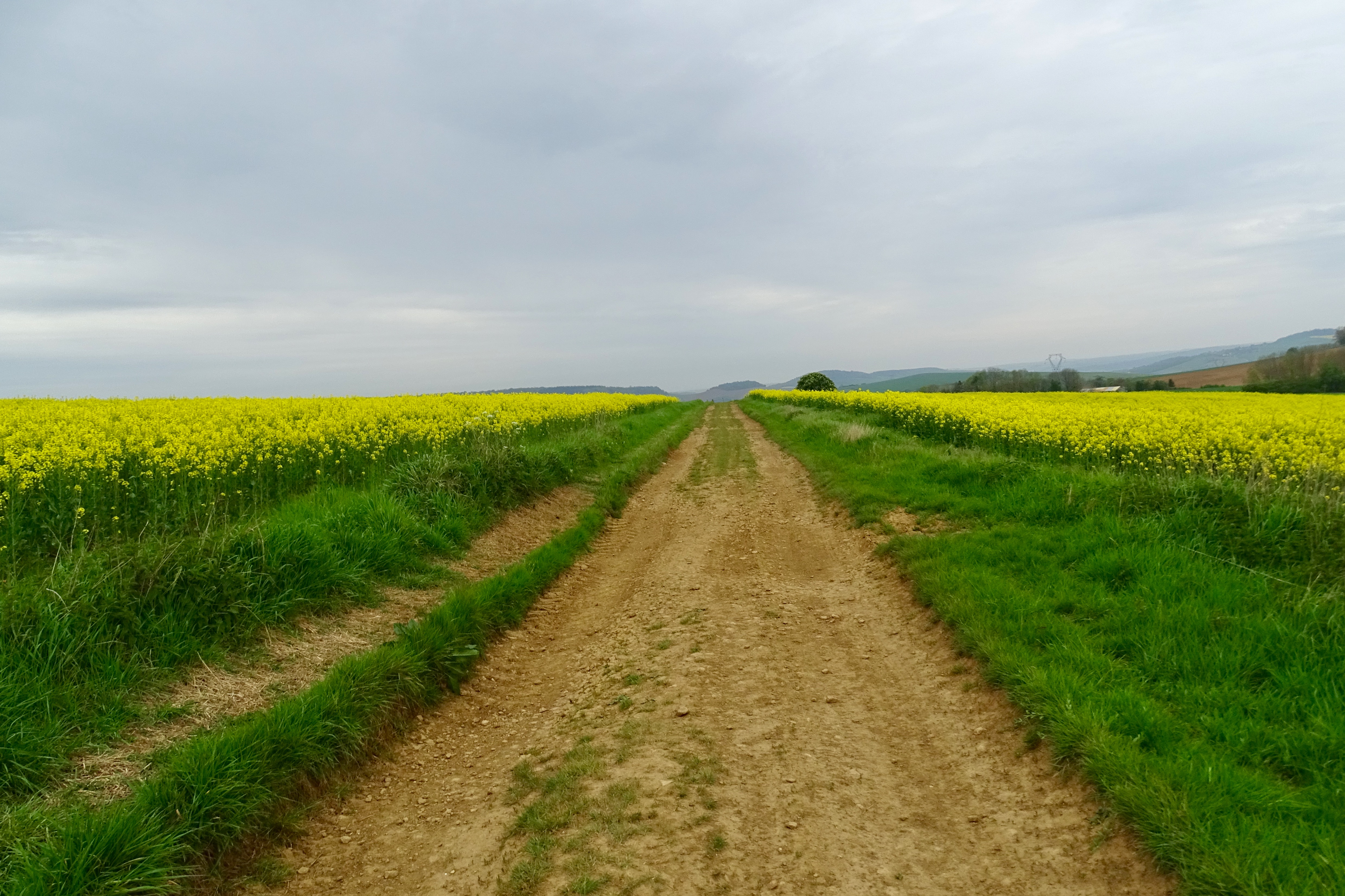 Le canal était très monotone. Maintenant je varie : chemins de terre et routes, c'est nettement mieux