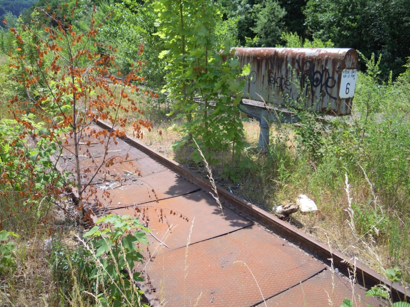 DSCN0126.JPG