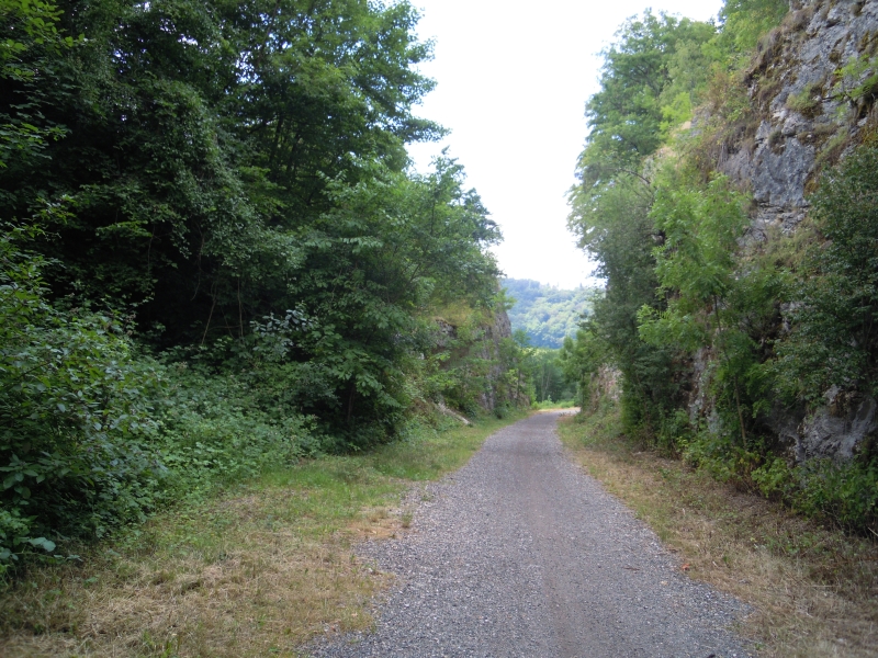 DSCN0128.JPG