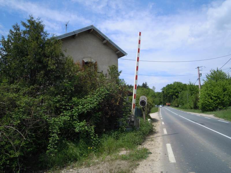 DSCN0990.JPG