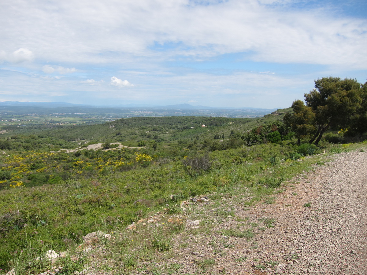 Vers Montpellier et le Pic St Loup, vu de la Gardiole