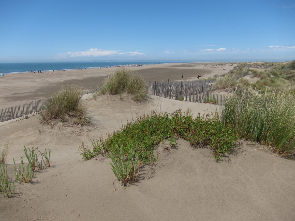 Plage de l'Espiguette