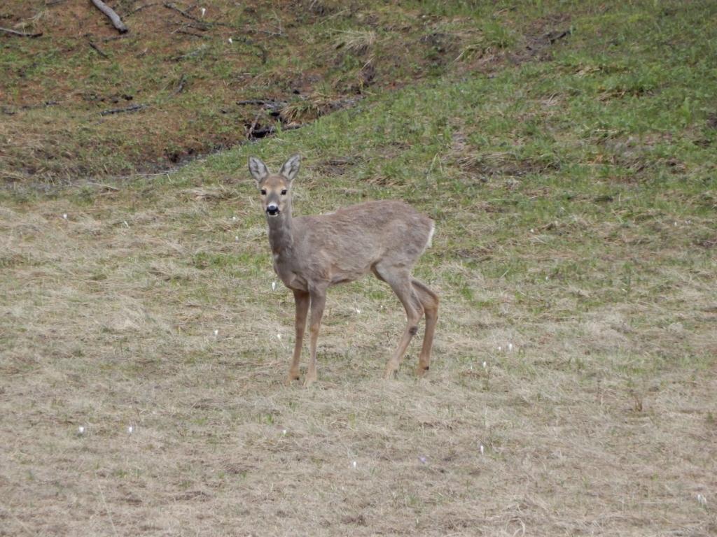 DSCN0058.JPG