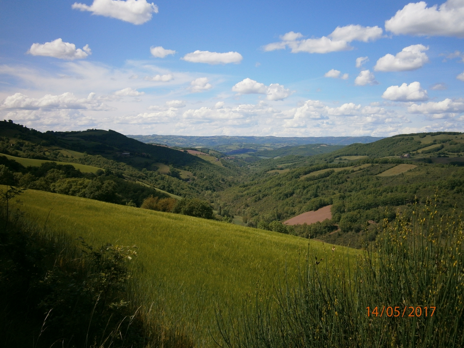 Les coteaux qui marquent la fin du Rougier de Camares. A l'horizon le pays Réquistanais.