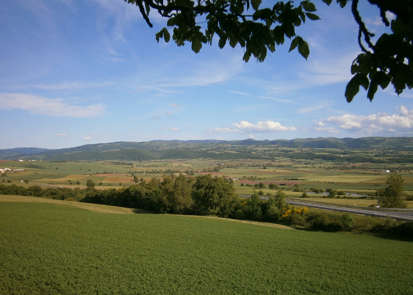Le Bassin des Rougiers de Camares sur son pourtour méridional vient mourir en collines de plus en plus hautes  sur les massifs cristallins de l'Albigeois et des Mont de Lacaune que l'on aperçois à l'horizon.