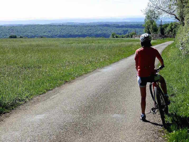 Vue sur le Jura Suisse.jpg