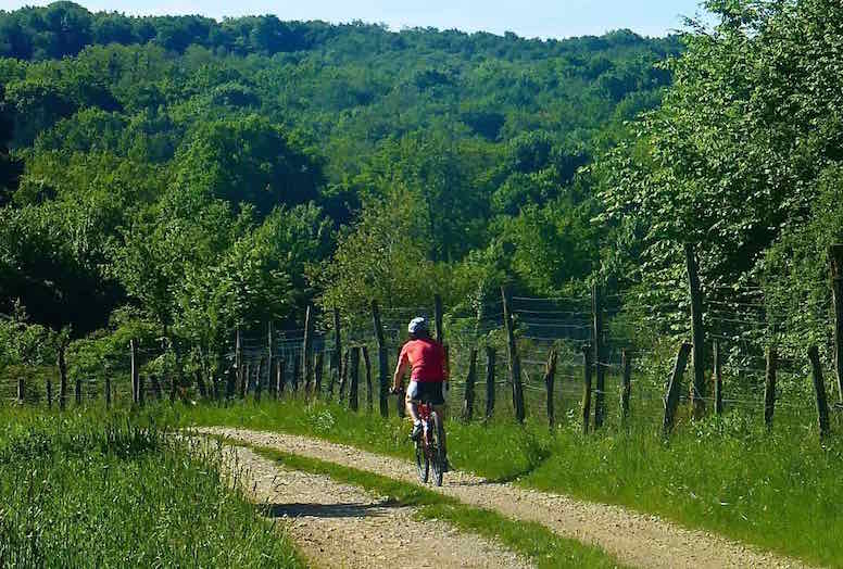 Le chemin qui va bien.jpg