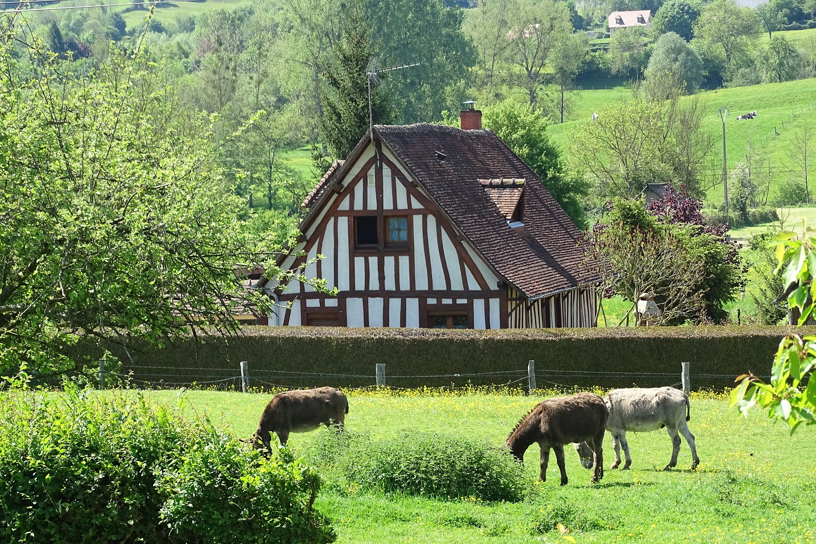 En Normandie