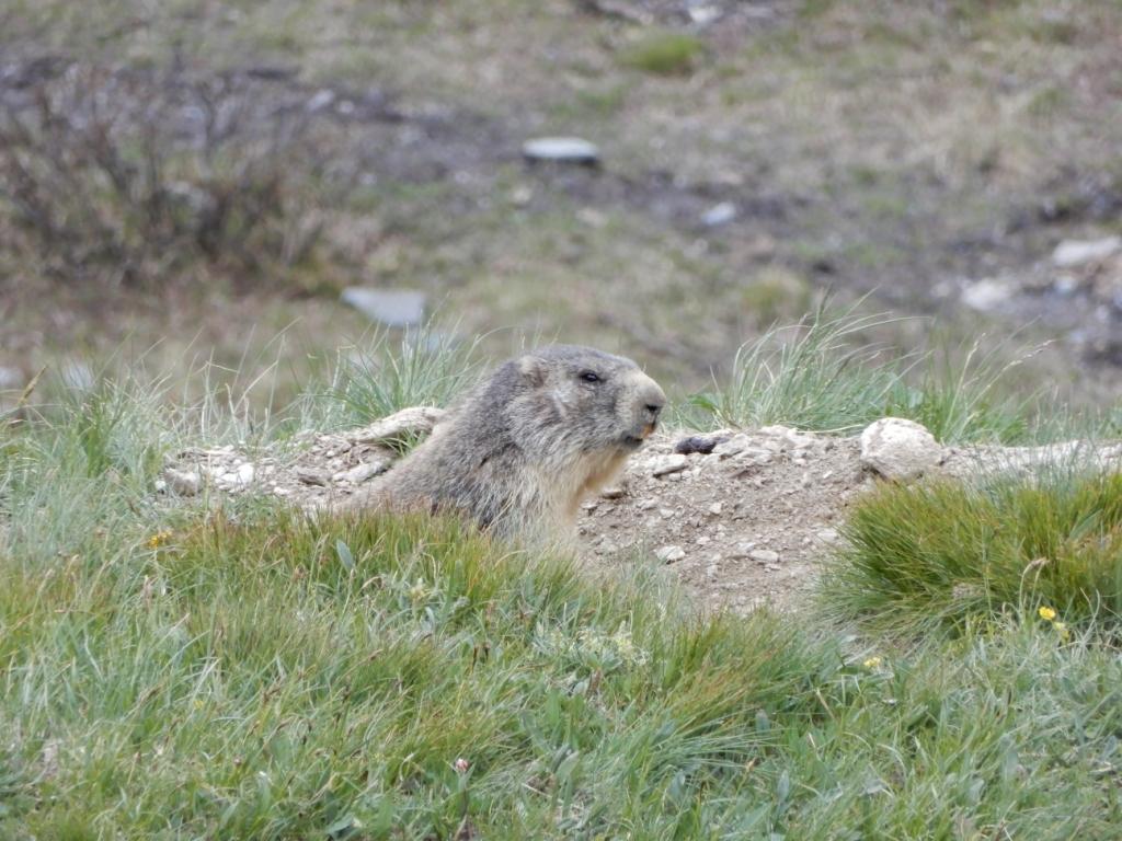 rencontre