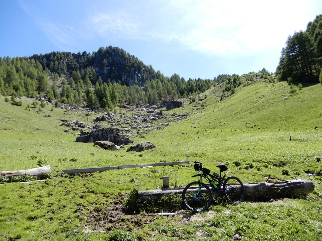 DSCN0216.JPG