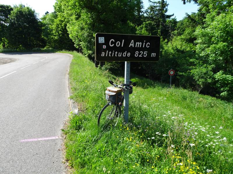 Col Amic