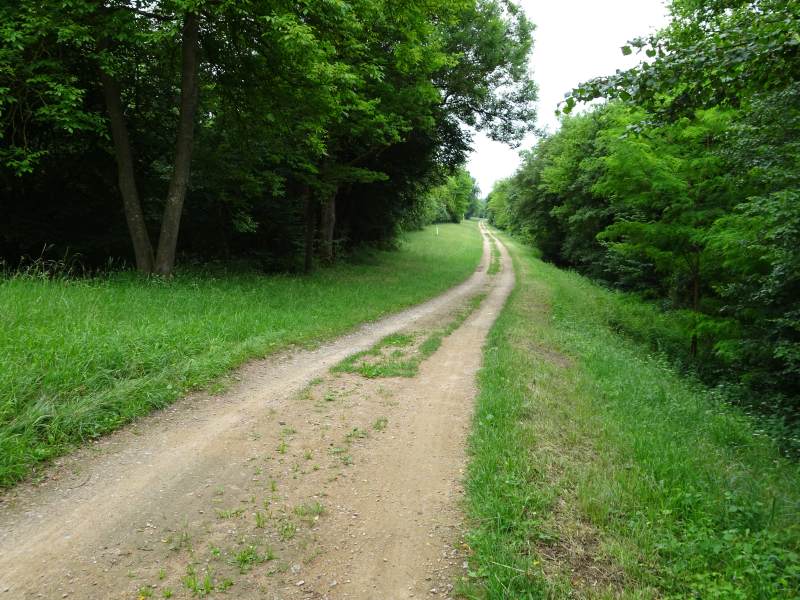 Y en a pour 29 kms comme ça...