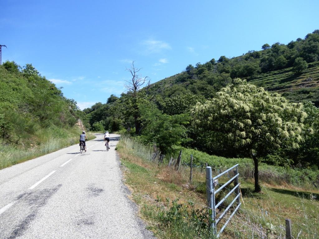 DSCN0356.JPG