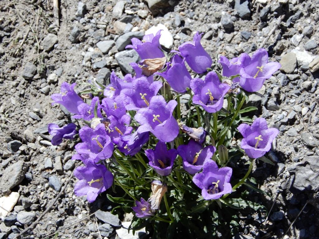 DSCN0379.JPG
