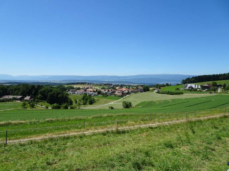 Le Plateau et le Jura, au fond le Chasseral