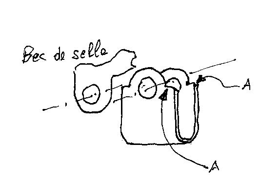 dessin1.jpg