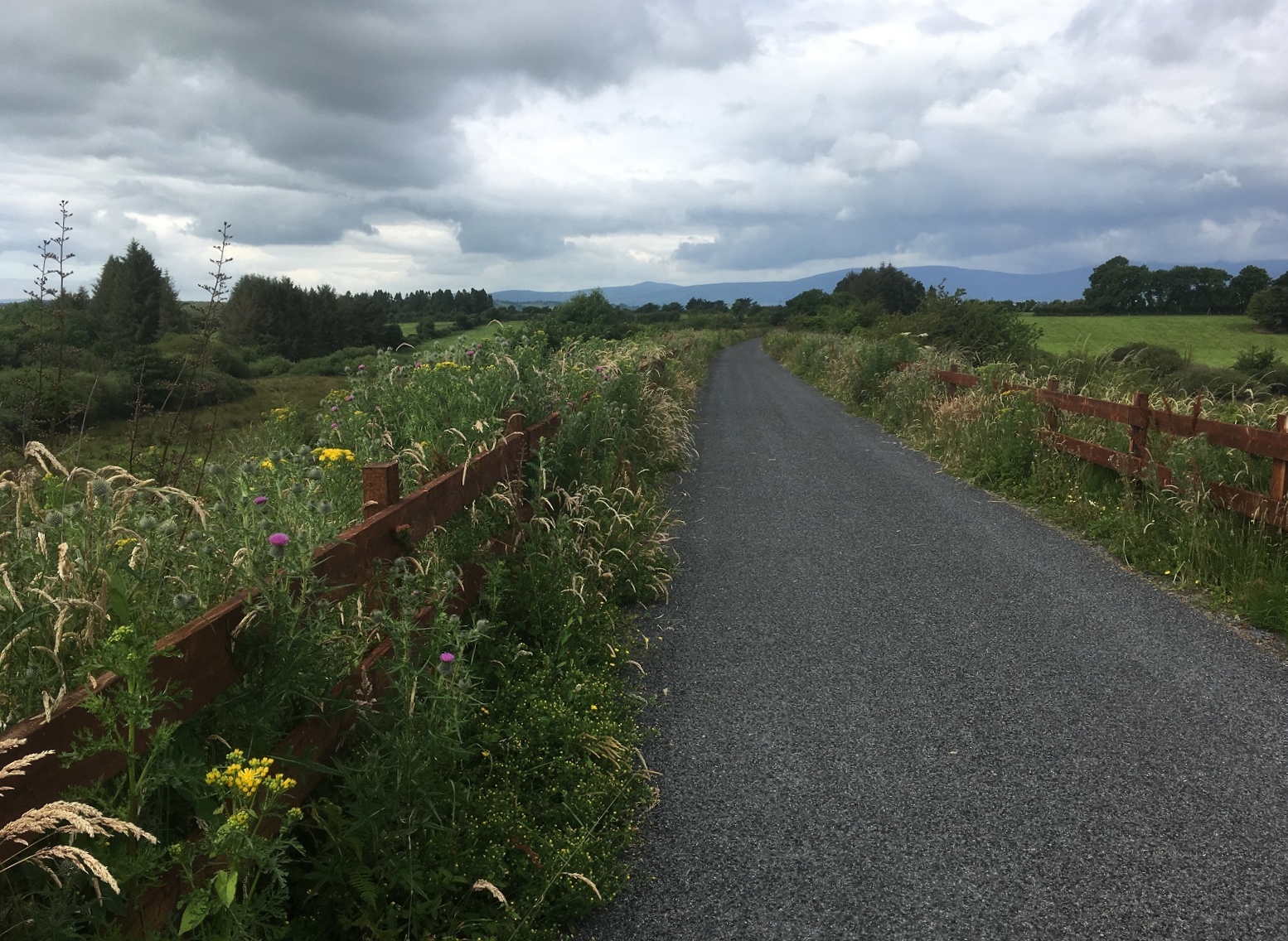Sur la Waterford greenway