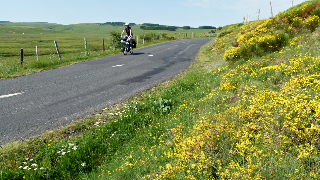 Bonnecombe.jpg