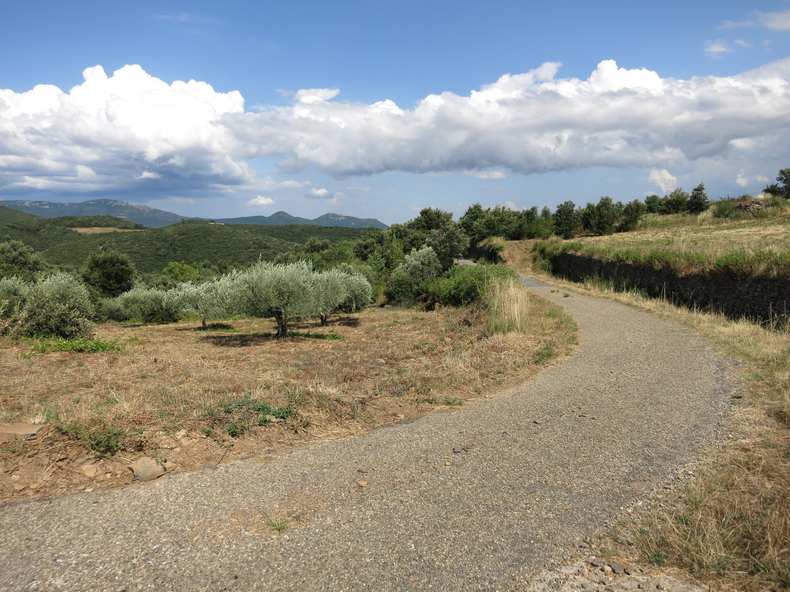 Route des vignes descend de Soumont, sans issue