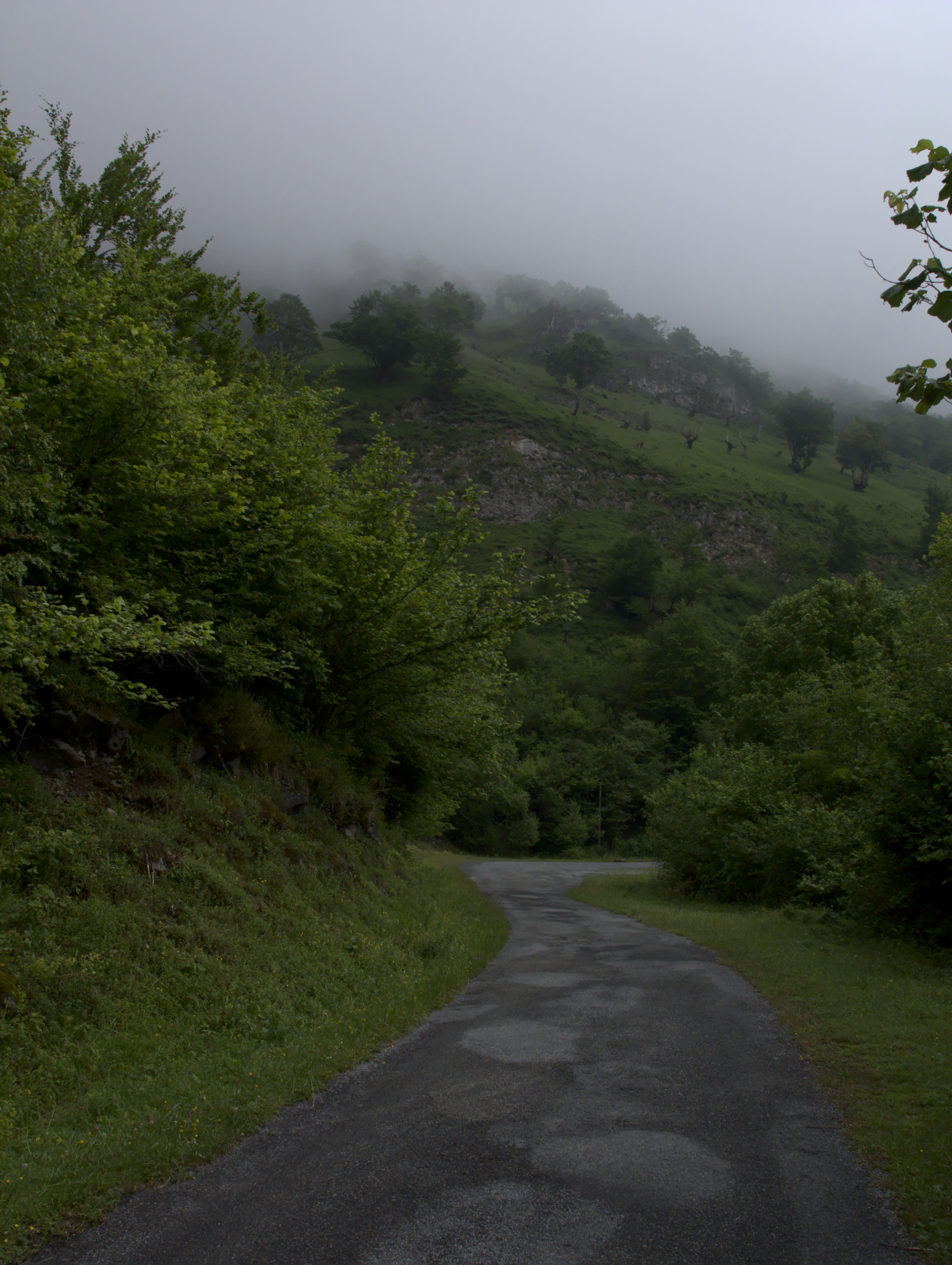 2015_06 part 1 (026).jpg