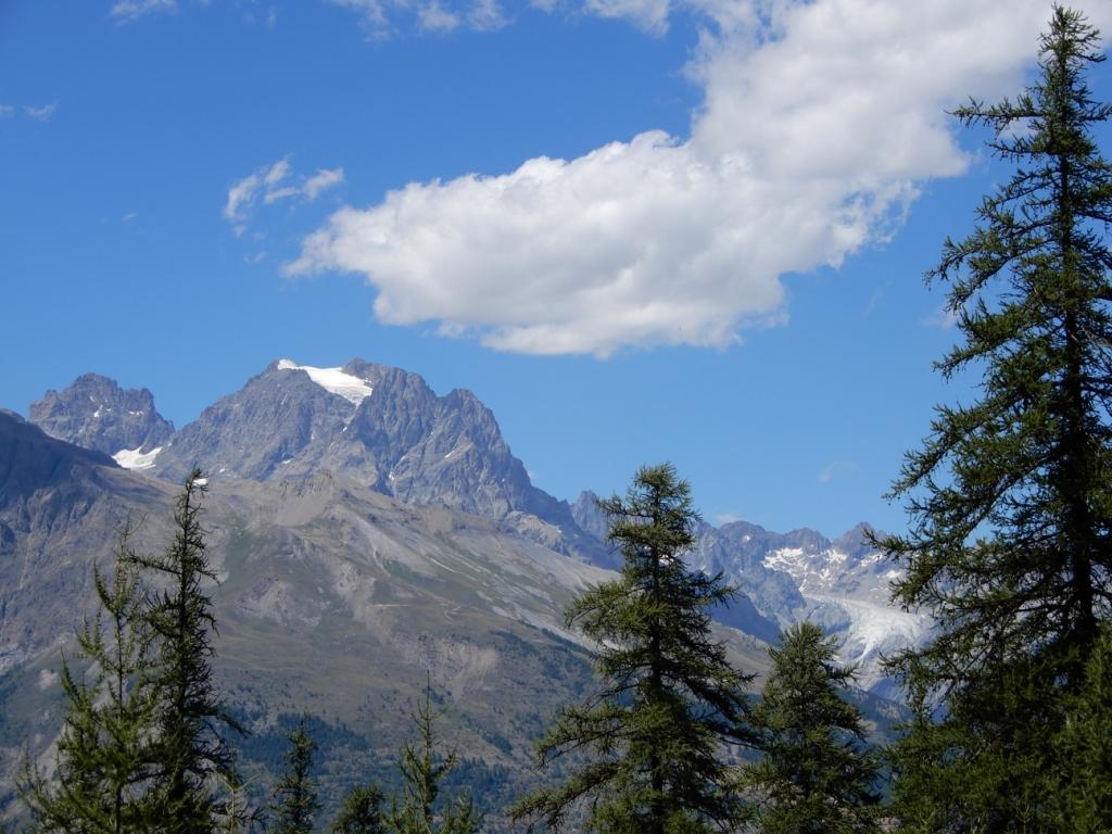 Mont-Pelvoux, Glacier Blanc
