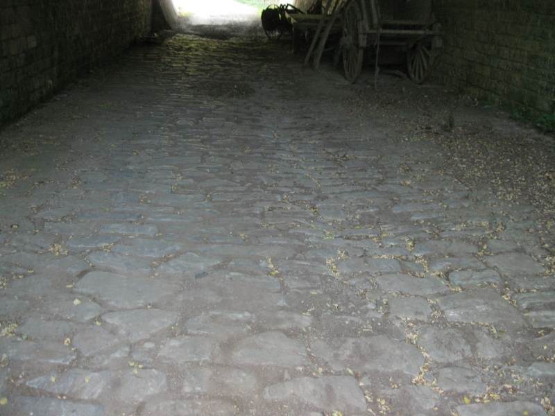 FR340058.JPG