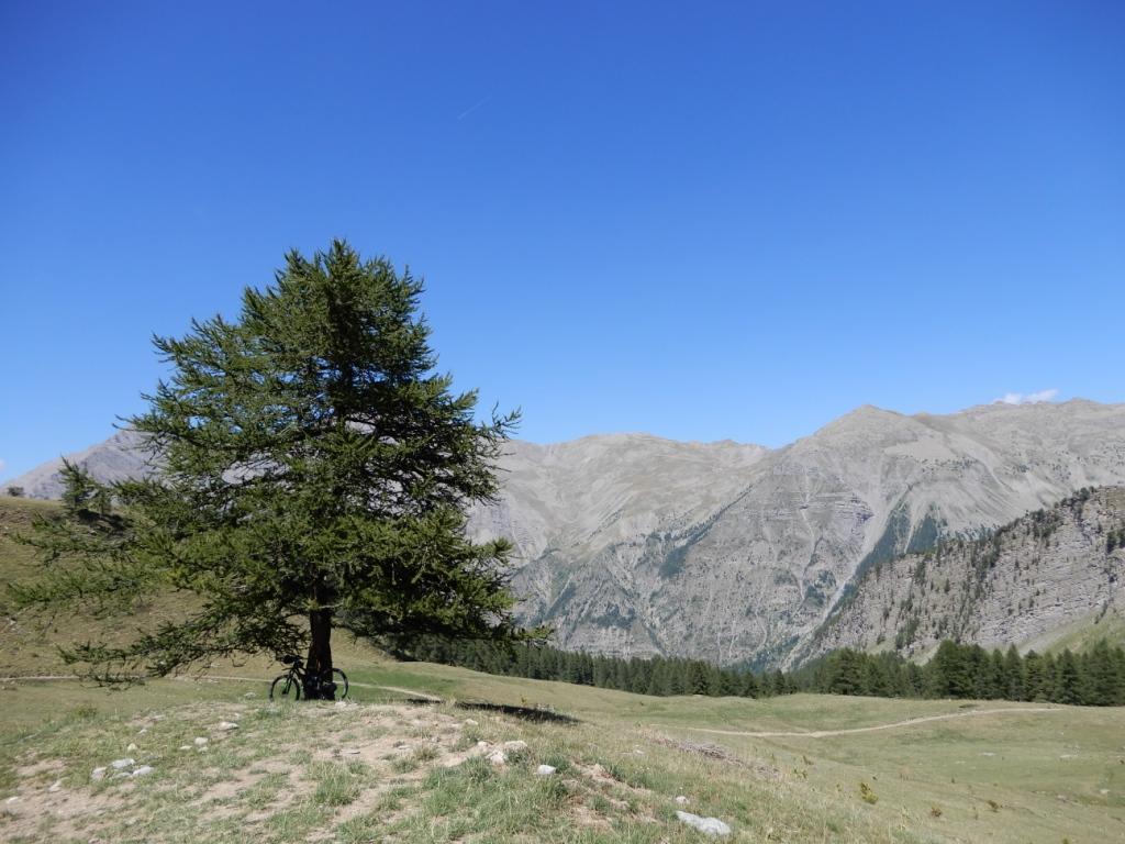 DSCN0715.JPG