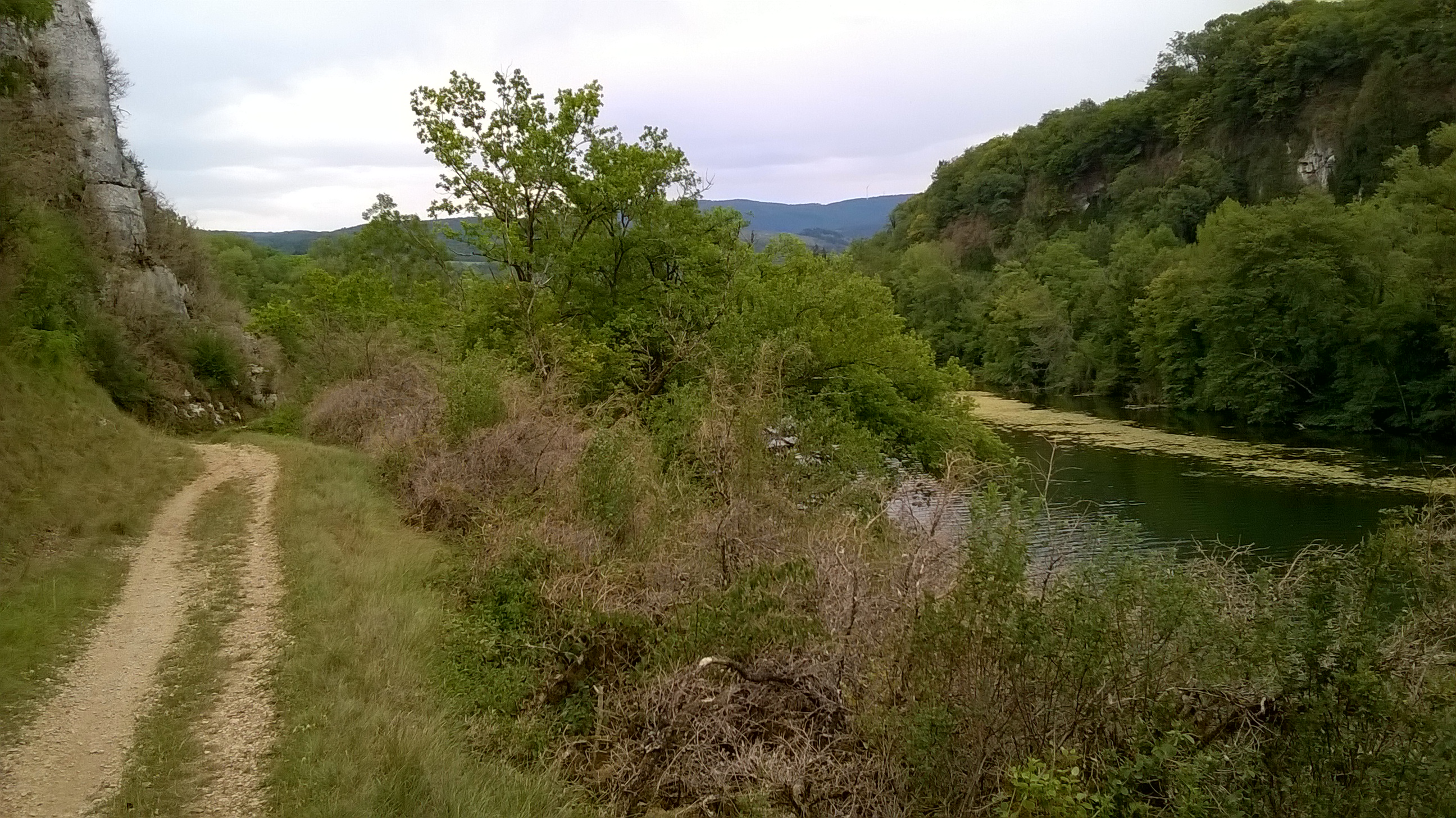 WP_20170719_018.jpg