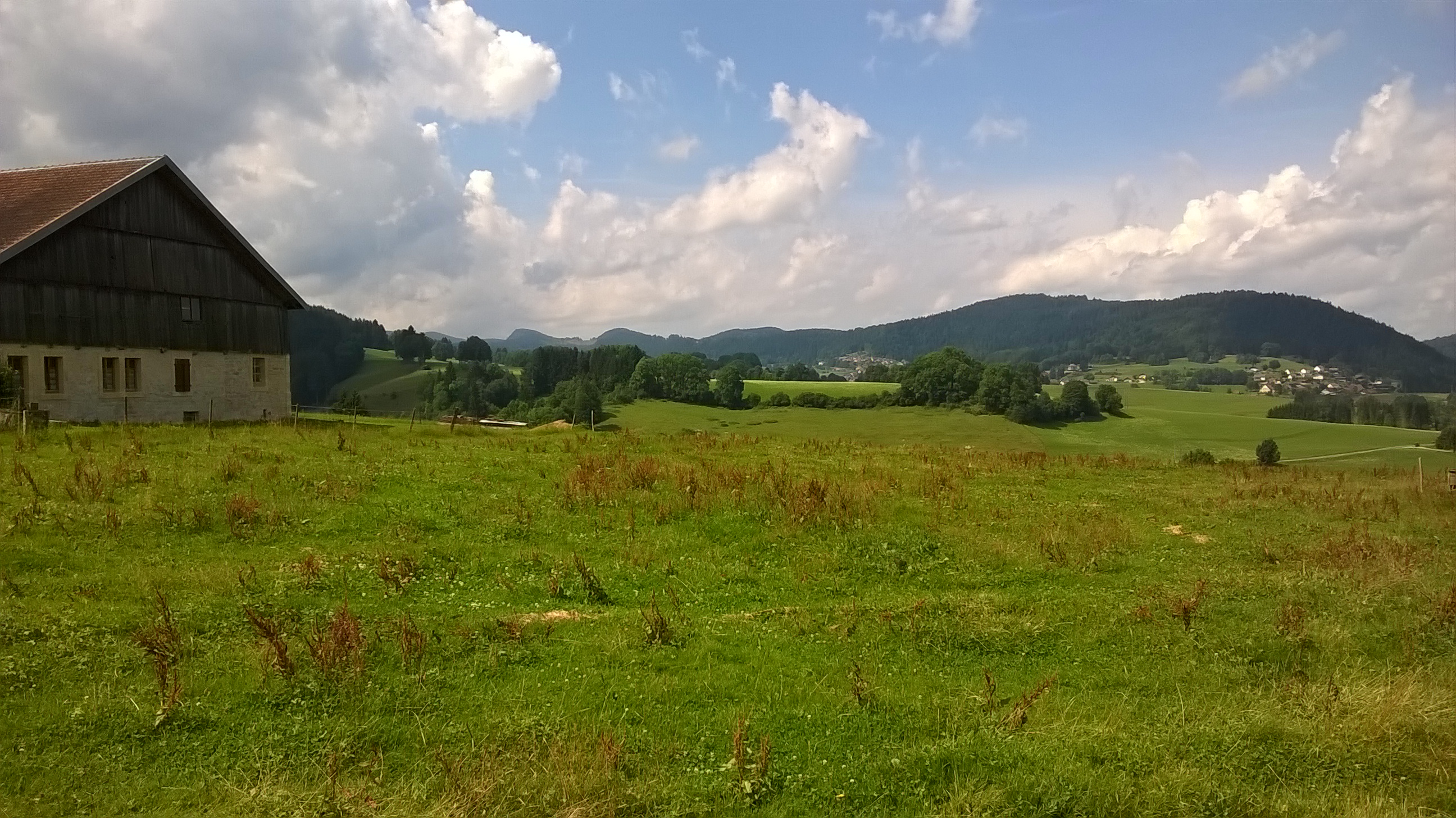 WP_20170722_033.jpg