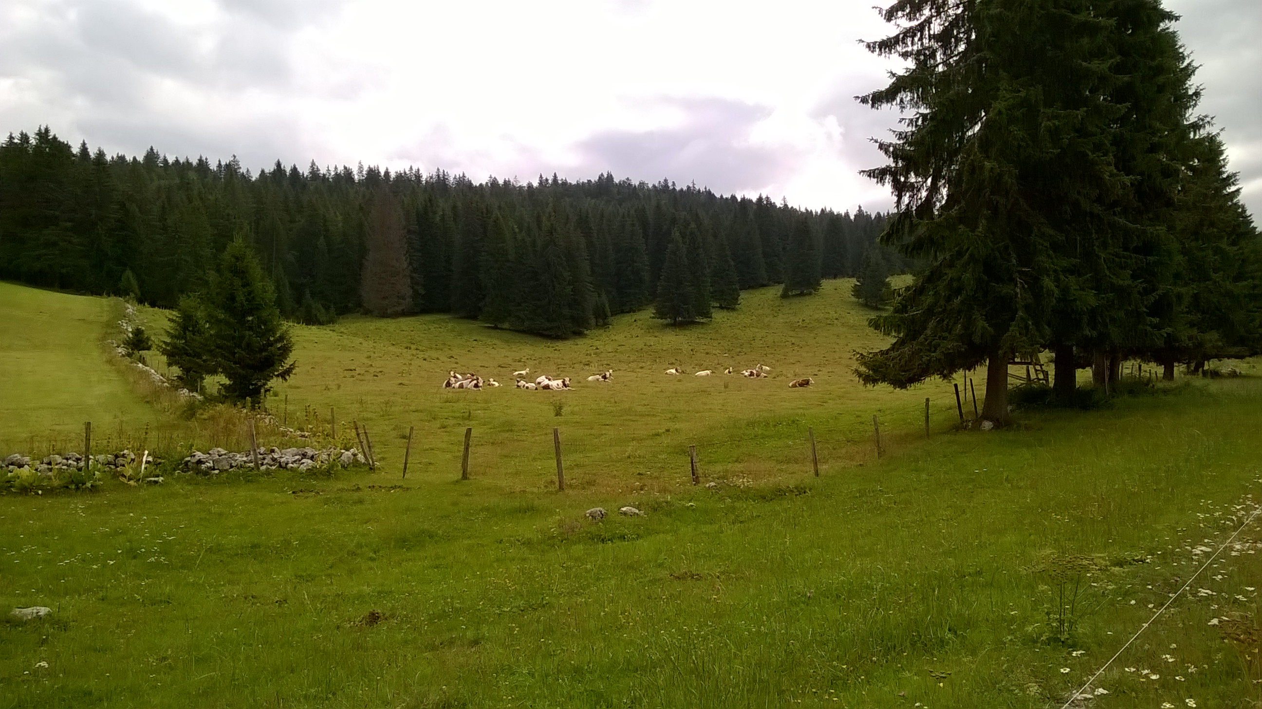WP_20170726_030.jpg