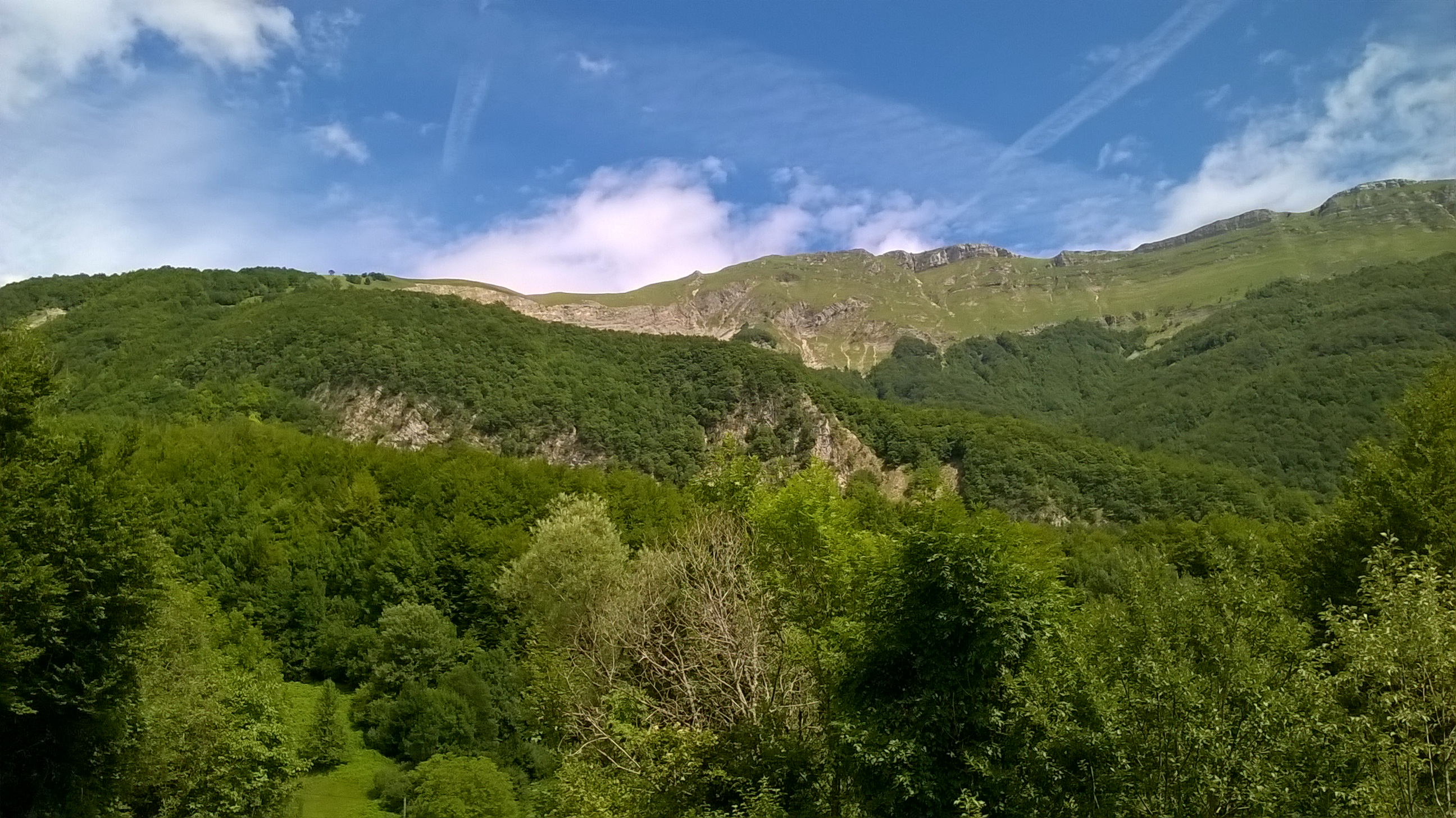 WP_20170727_065.jpg