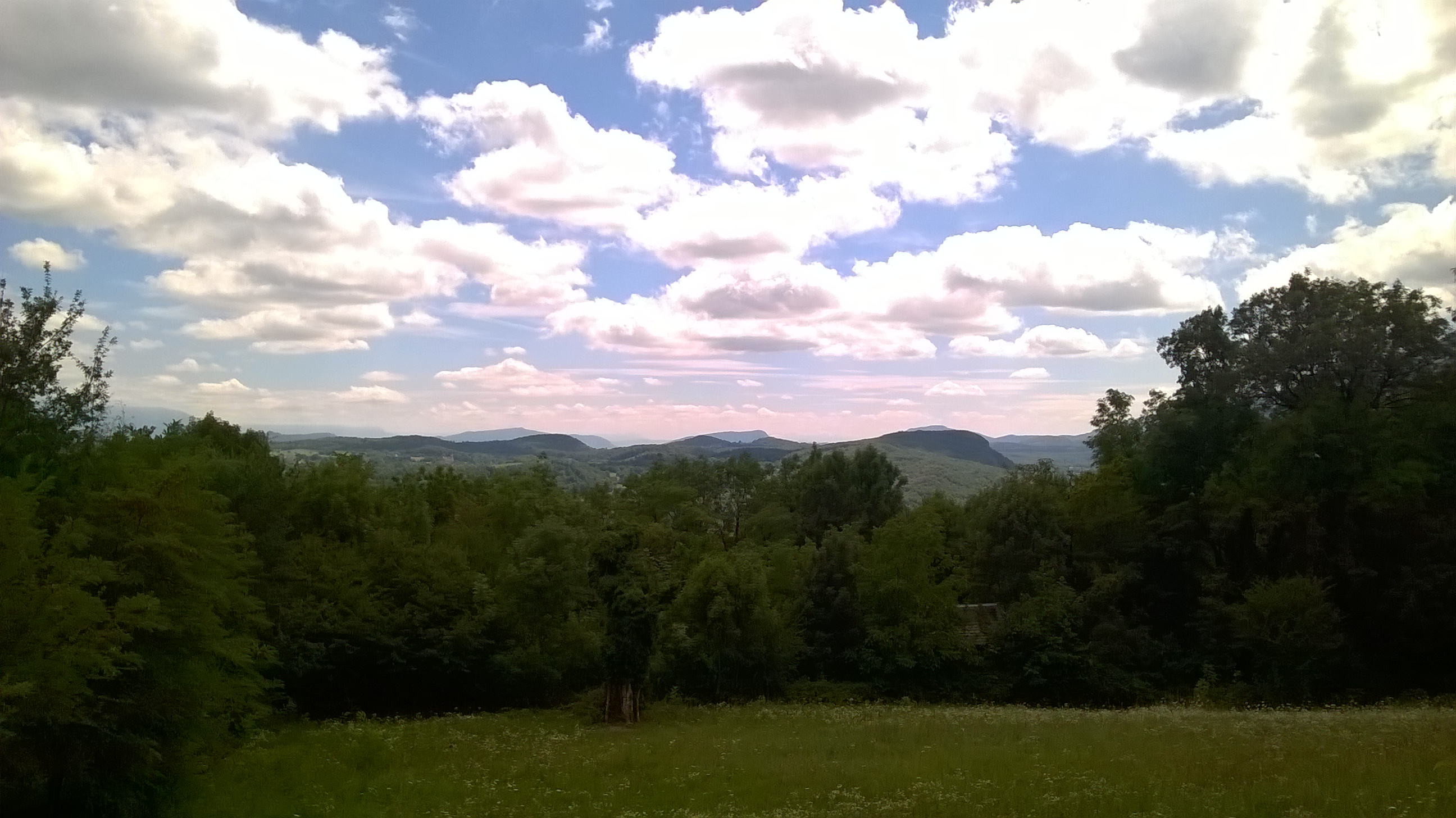 WP_20170728_042.jpg