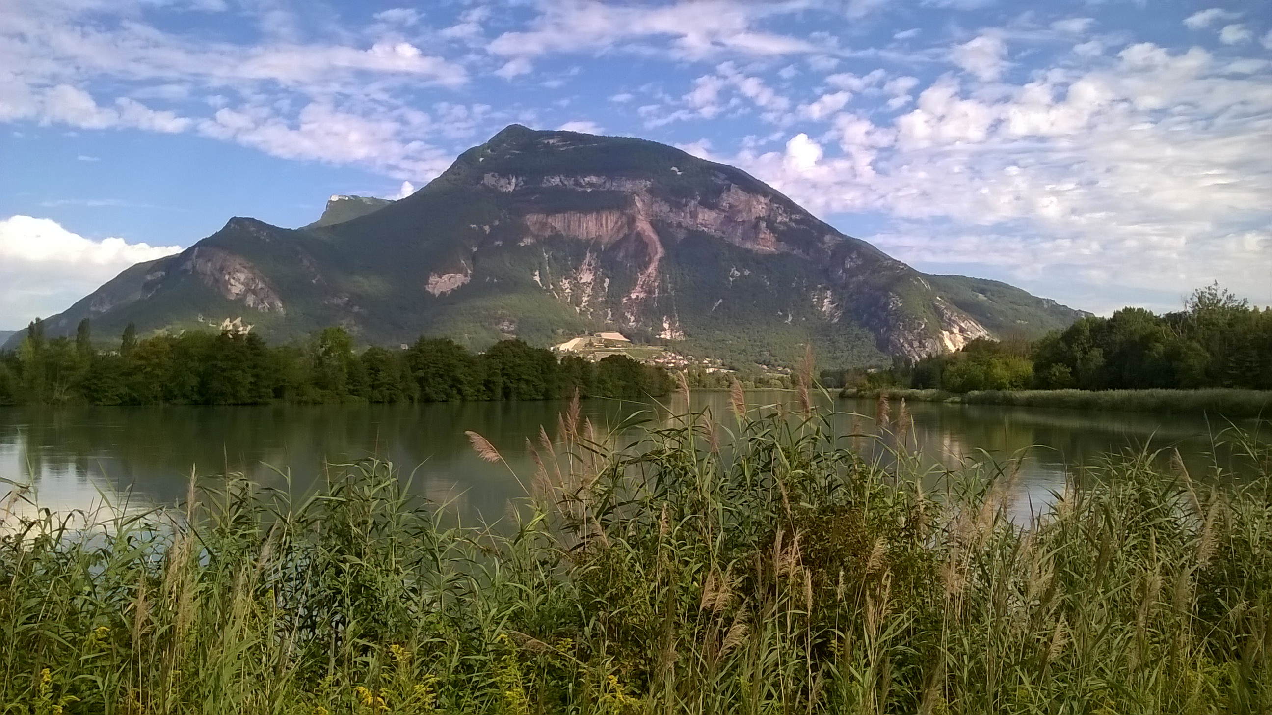 WP_20170729_007.jpg