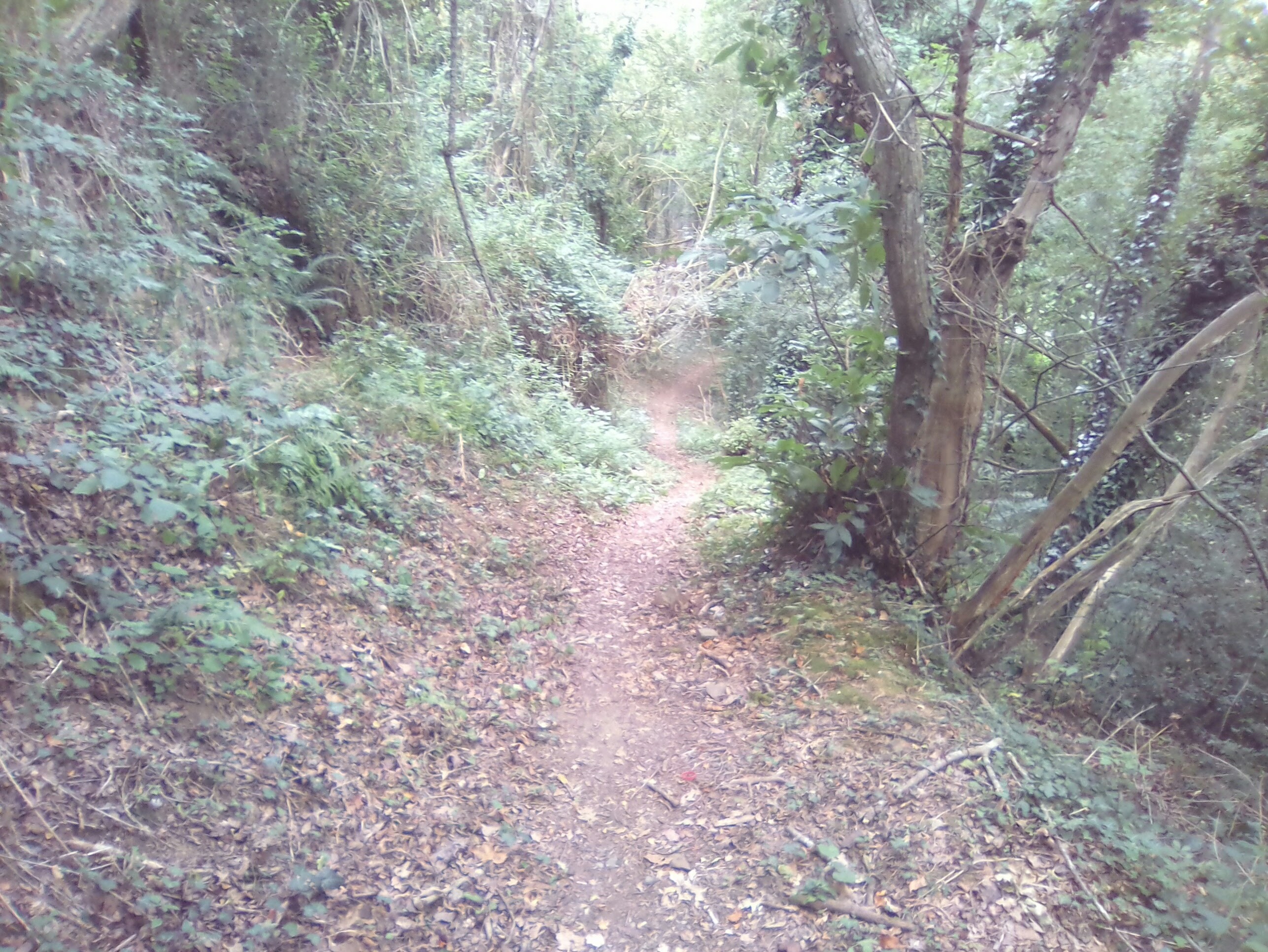 Du gravel ou du VTT pour atteindre Saint-Brieuc à travers bois !