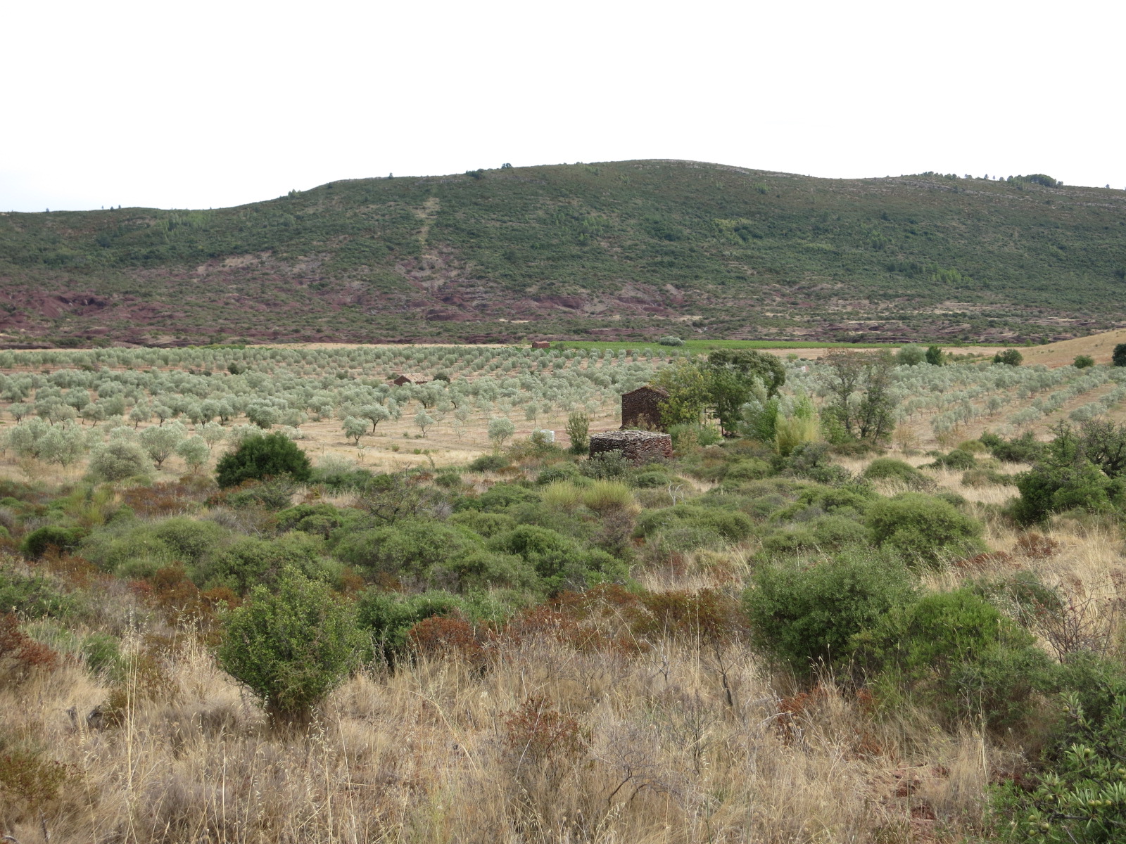 Paysage des ruffes près du Salagou