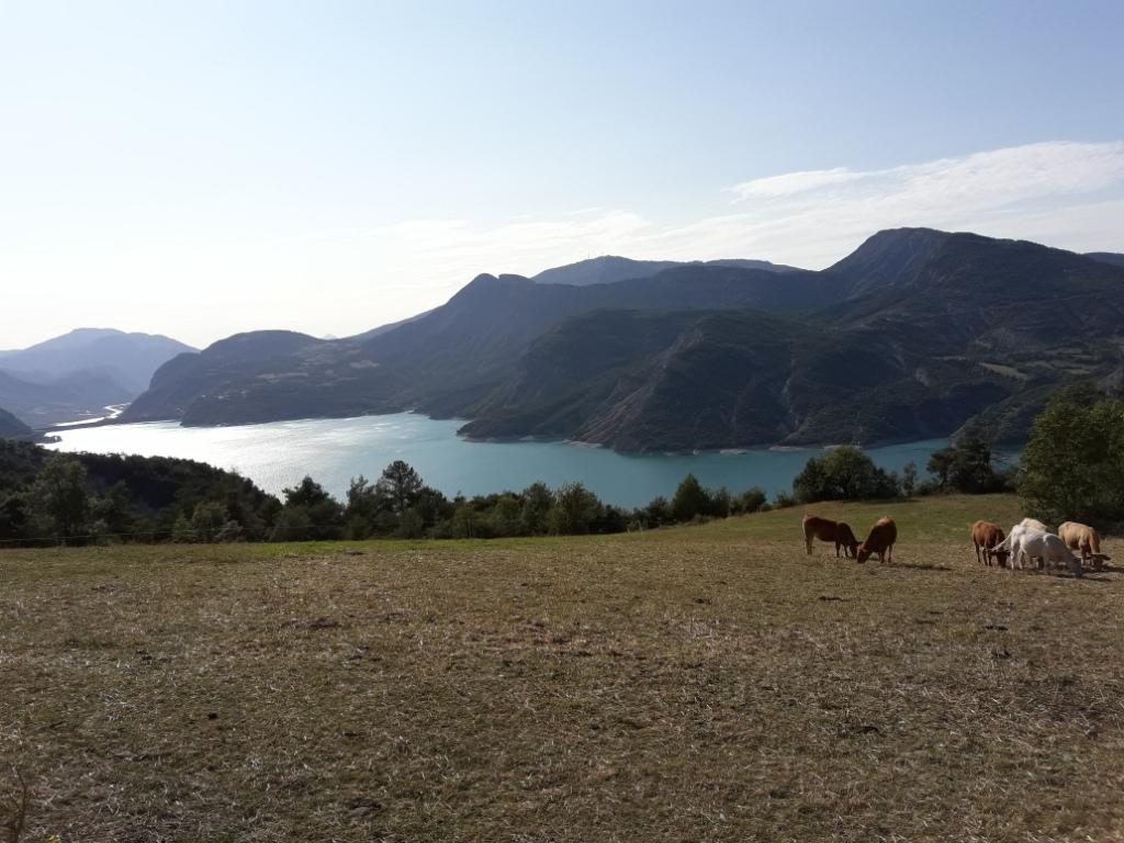 Le Sauze du Lac, au fond : Barrage et Mont Colombis
