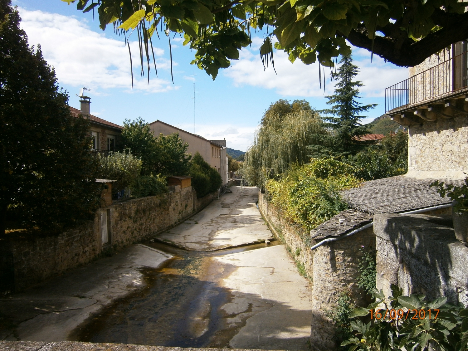 P9160215.JPG