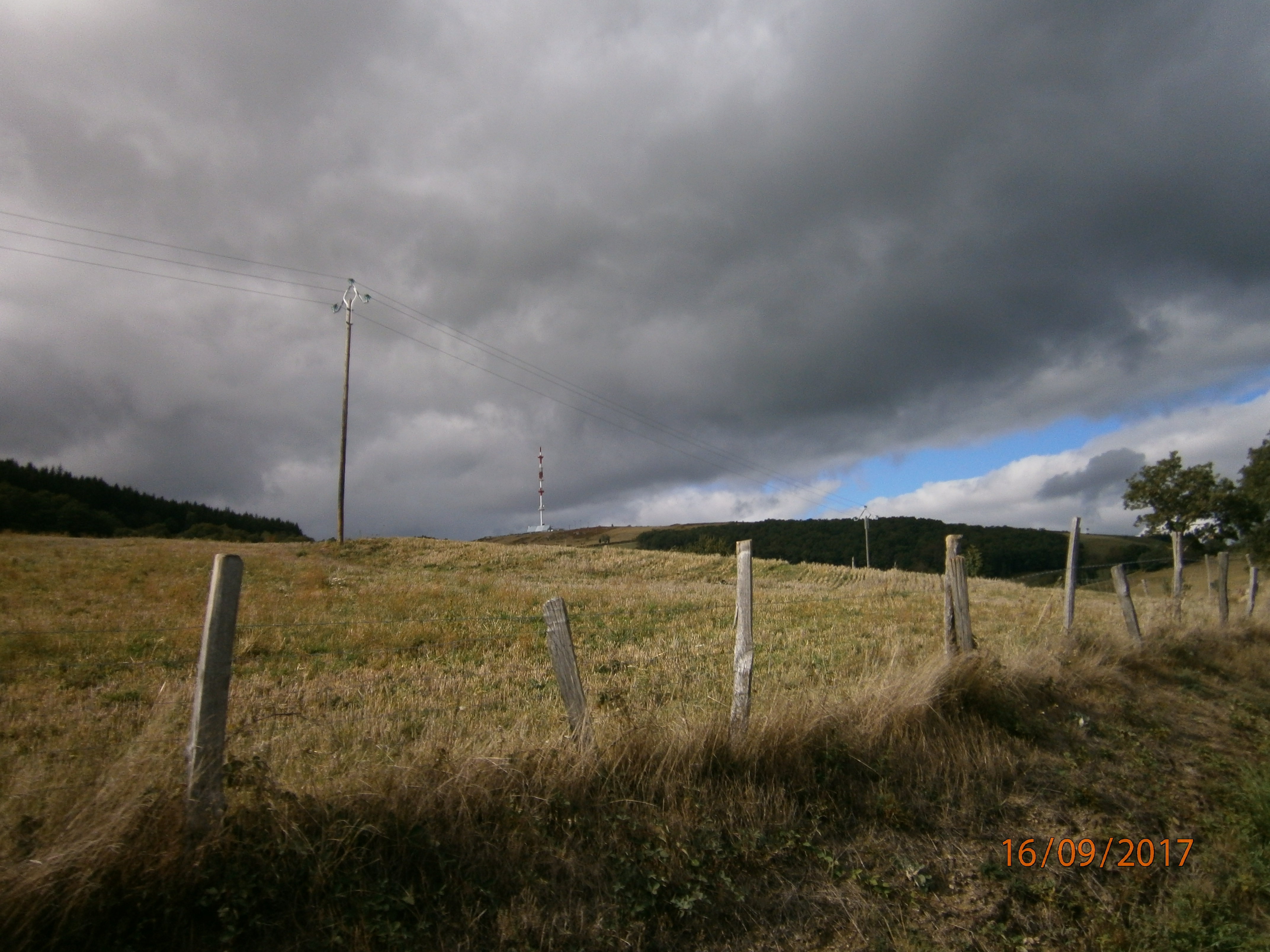 P9160248.JPG