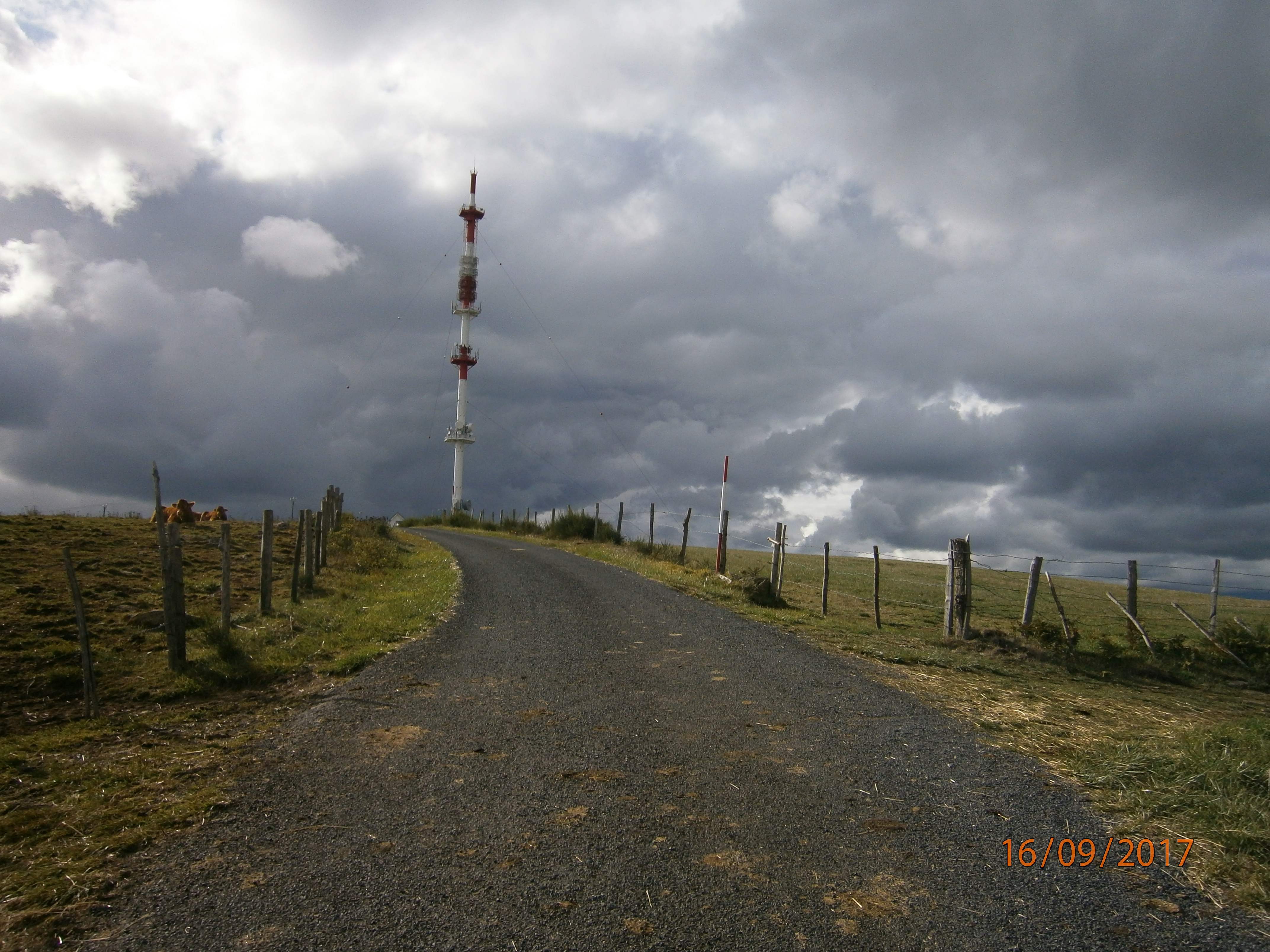 P9160254.JPG