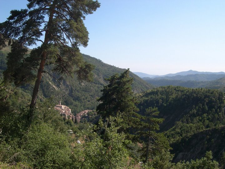 Turini.JPG
