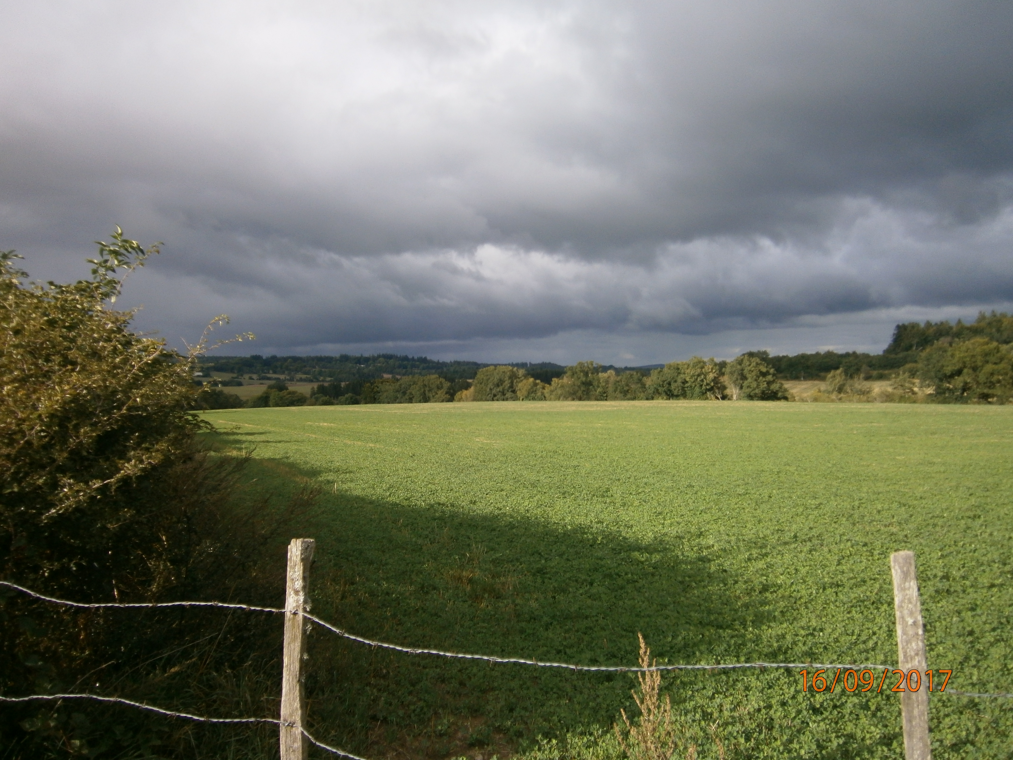 P9160274.JPG