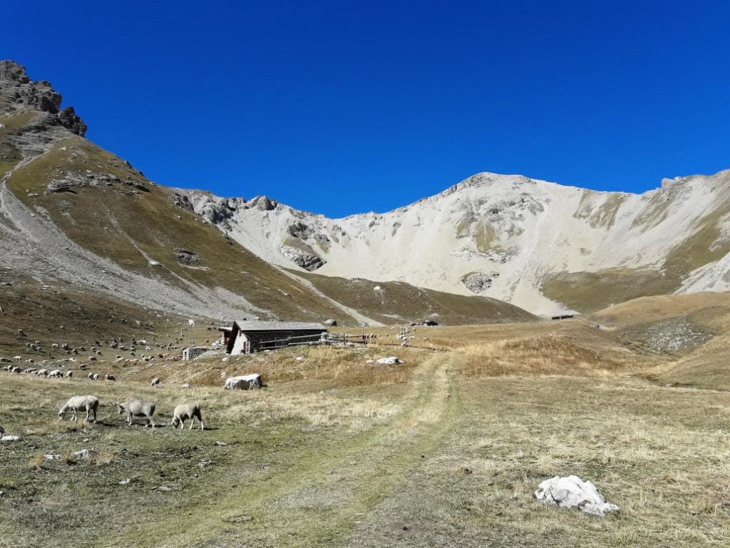 Fond de l'Orcière, Pic de Peyre-Eyraute